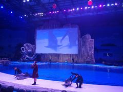 -华夏文旅海洋公园