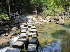 -广州白江湖森林公园