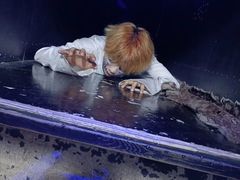 -长藤鬼校(龙翔店)