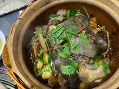 啫啫小甲鱼-金龙·打边炉(武进路店)