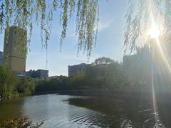 -文瀛公园