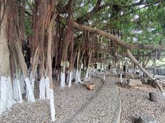 -胡里山炮台