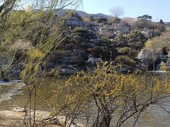 -北京西山国家森林公园