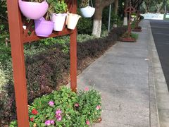 -昆山城市生态森林公园