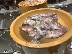 -龍歌自助小火锅(崂山丽达店)