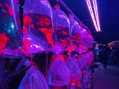 -华声天桥民俗文化园