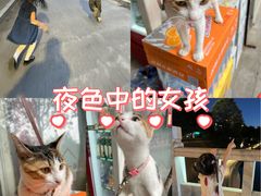 -中国人民解放军空军第九八六医院(北区)