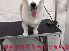 -萌兽医馆·宠物医院·猫骨科(创景店)