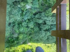-少华山国家森林公园