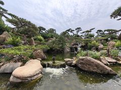 -罗红摄影艺术馆