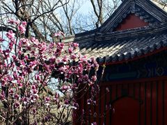 -红螺寺