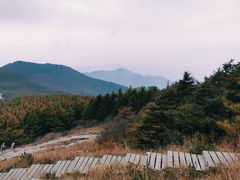 -白草畔自然风景区