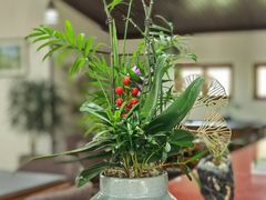 -国家植物园南园