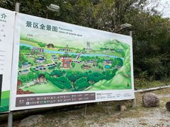 -海南霸王岭国家森林公园