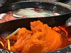 -小志家.鲜牦牛肉牛杂火锅野生菌汤锅