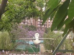 -成都市活水公园