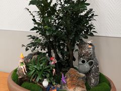 -厦门市图书馆(集美新城馆区)
