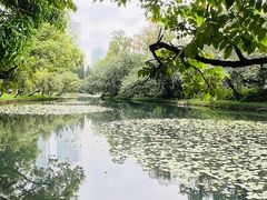 -荔枝公园(福田区)