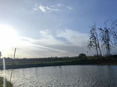 -合肥滨湖国家森林公园