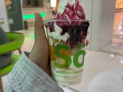 -Salud撒露欧洲冻酸奶(五道口购物中心店)