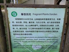 -上海都市菜园