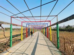 -苏州太湖西山岛开心农场