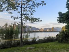 -飞来湖湿地公园