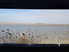 -盐城丹顶鹤湿地生态旅游区