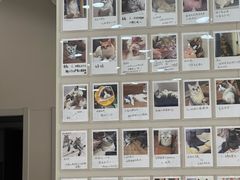 -御宝贝24h宠物医院·转诊中心·CT核磁血透中心(厦门总院)