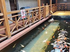 -侠成水上农庄(工业大道店)