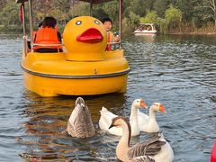 -太阳岛度假酒店