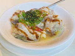 鲜藤椒蒸鱼云-利苑酒家(金宝店)