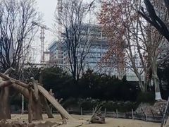 -郑州市动物园