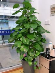点击看大图 -Return·蕾特恩祛痘·皮肤管理中心