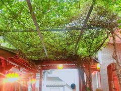 -不倒翁·徽天下名菜楼(马鞍山路店)