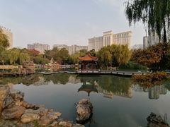 -西苑公园