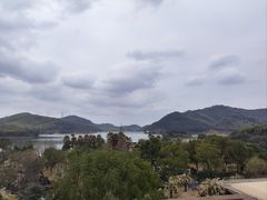 -宁波九龙湖开元度假村