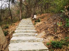 -南京市无想山景区