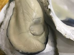-蚝专家(北滘店)