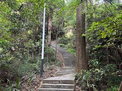 -水濂山森林公园