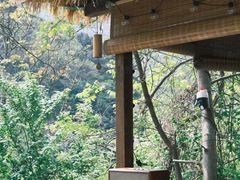 -秦岭终南山世界地质公园翠华山景区