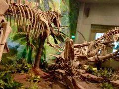 -自贡恐龙博物馆