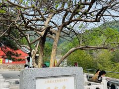 -潭柘寺景区