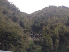 -仙山谷激浪漂流