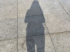 -人民防洪胜利纪念塔