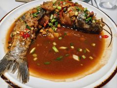 -全乐鱼馆·淳牌有机鱼直营店