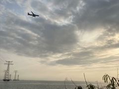 -宝安西湾红树林湿地公园