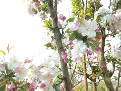 -永定河休闲森林公园