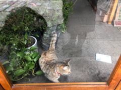 -猫的天空之城概念书店(苏州平江店)