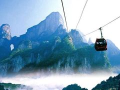 -印象鲵宴·张家界地标美食名片(溪布街店)